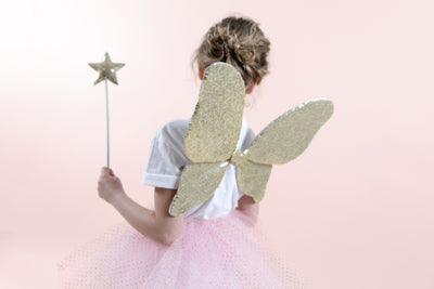 Fairy Princess