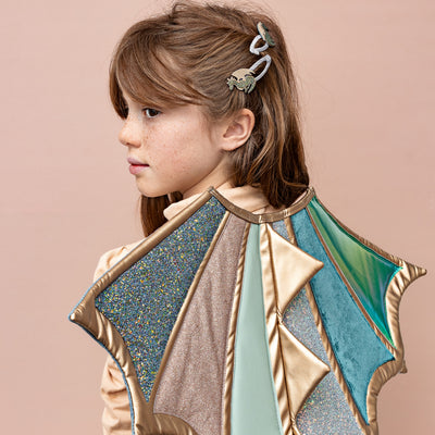 Dragon and princess clips