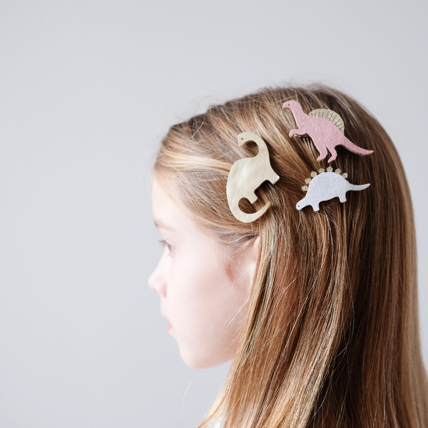 Cute dino clip set